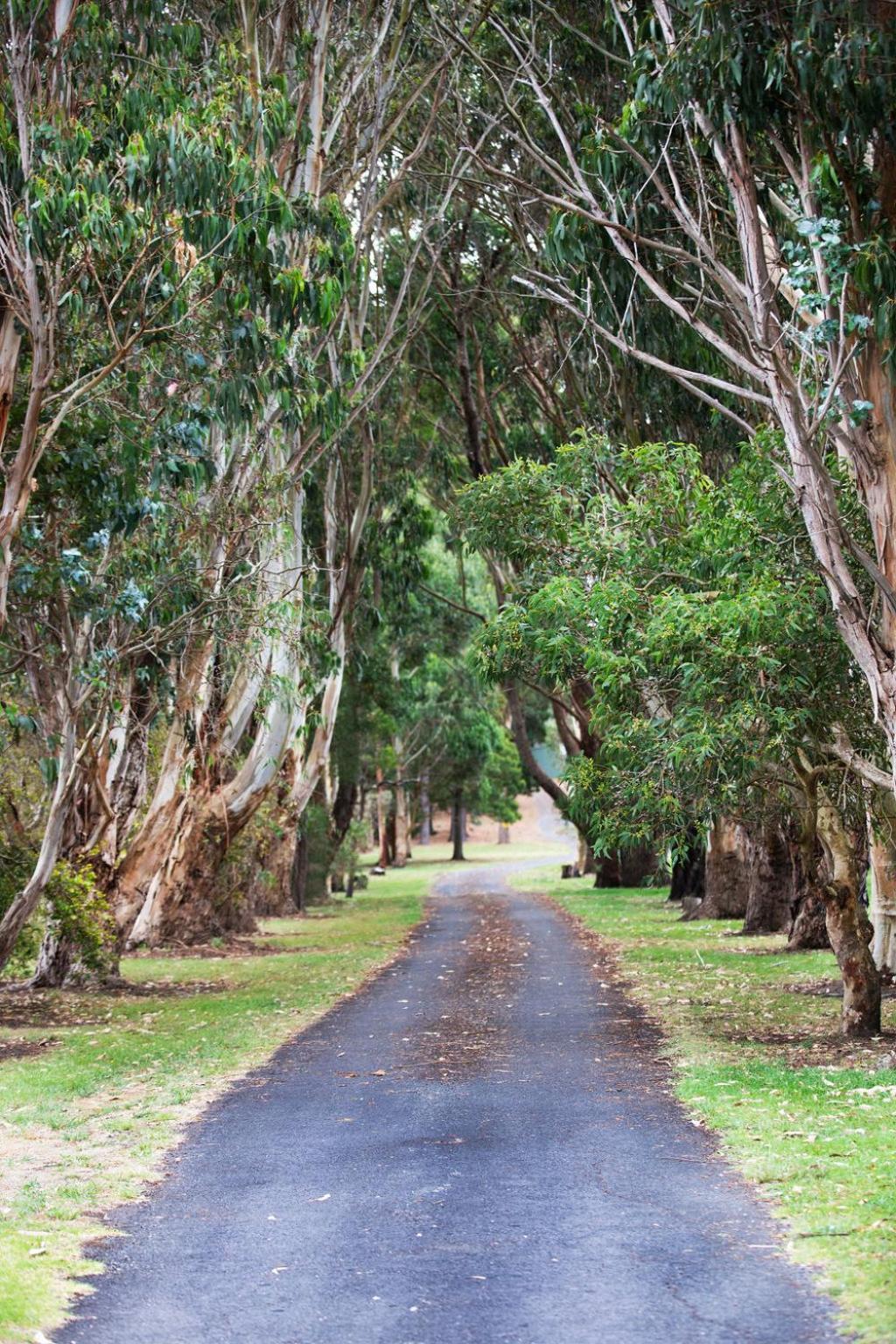 Clarendon Chalets Mount Gambier Ngoại thất bức ảnh